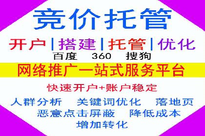 SEM搜索引擎优化策略解析与应用案例